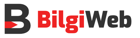 BilgiWeb